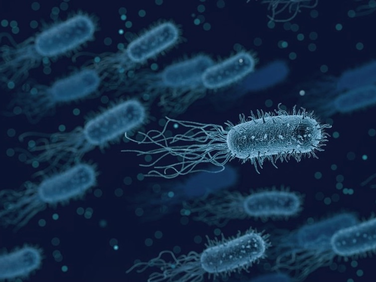 Se ELEVA la RESISTENCIA BACTERIANA a los ANTIBIÓTICOS en regiones de ÁFRICA, ASIA y ORIENTE MEDIO